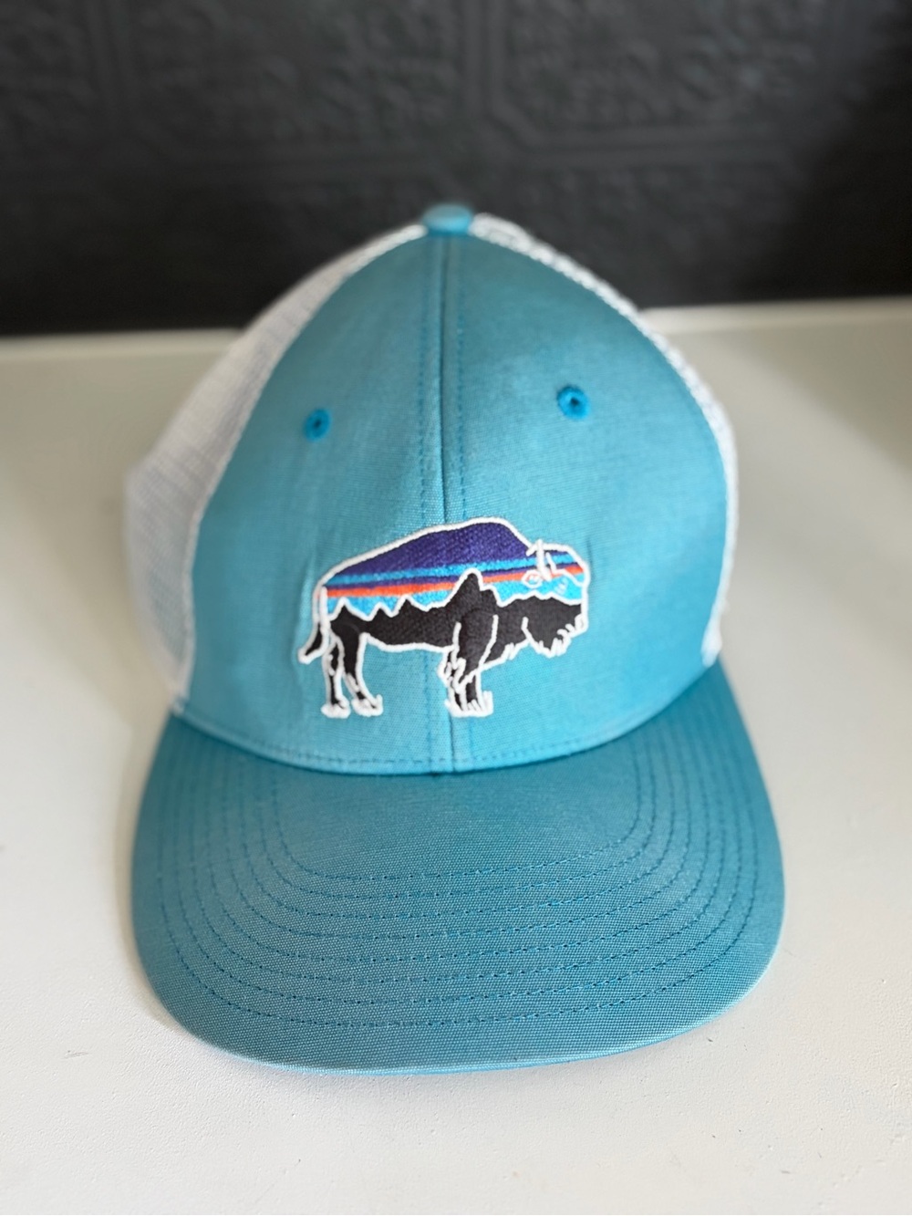 Patagonia Teal and White Trucker Hat with Buffalo Patch